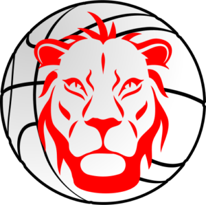 Lions Carouge  U14M2