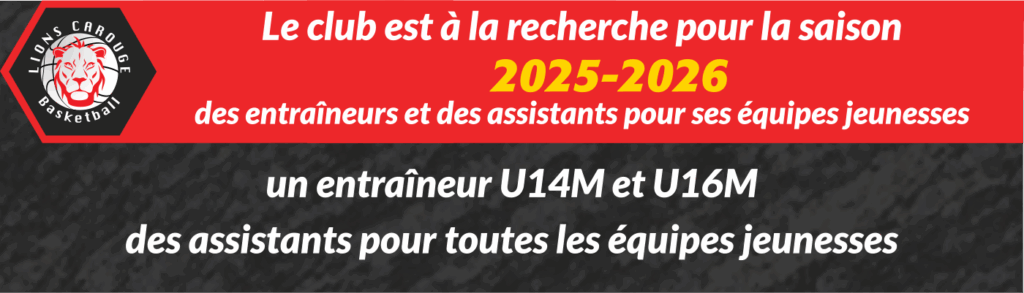 Recherche coachs et assistants