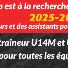 Recherche coachs et assistants