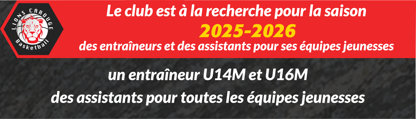 Recherche coachs et assistants